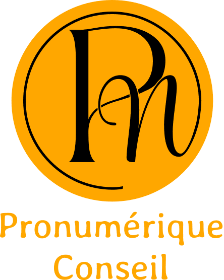 Logo Pronumérique Conseil